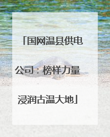 国网温县供电公司：榜样力量浸润古温大地