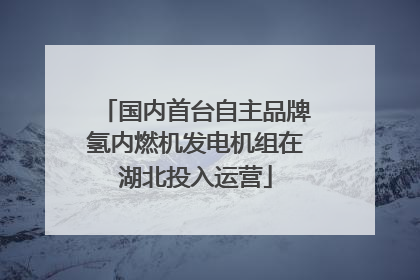 国内首台自主品牌氢内燃机发电机组在湖北投入运营