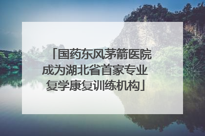 国药东风茅箭医院成为湖北省首家专业复学康复训练机构