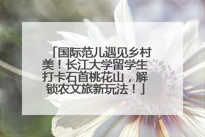 国际范儿遇见乡村美！长江大学留学生打卡石首桃花山，解锁农文旅新玩法！