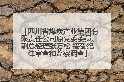 四川省煤炭产业集团有限责任公司原党委委员、副总经理张万松 接受纪律审查和监察调查