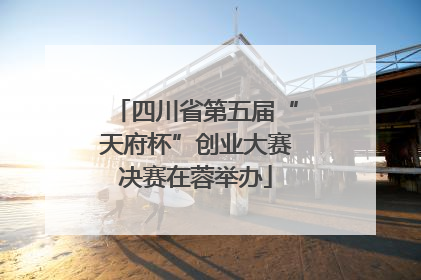 四川省第五届“天府杯”创业大赛决赛在蓉举办