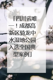 四川省唯一！成都高新区骑龙中水湿地公园入选全国典型案例