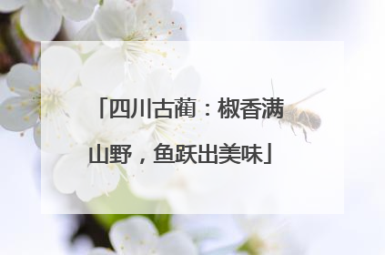 四川古蔺：椒香满山野，鱼跃出美味