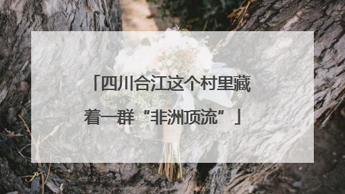 四川合江这个村里藏着一群“非洲顶流”