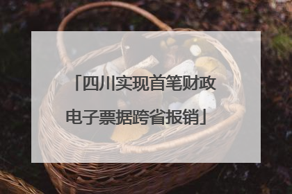 四川实现首笔财政电子票据跨省报销