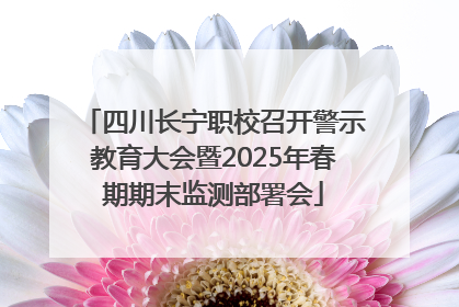四川长宁职校召开警示教育大会暨2025年春期期末监测部署会