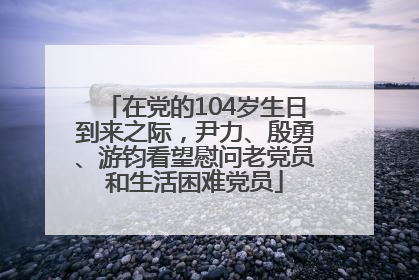 在党的104岁生日到来之际，尹力、殷勇、游钧看望慰问老党员和生活困难党员
