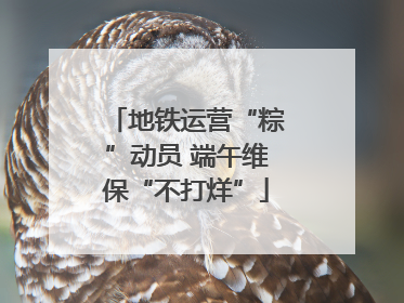 地铁运营“粽”动员 端午维保“不打烊”