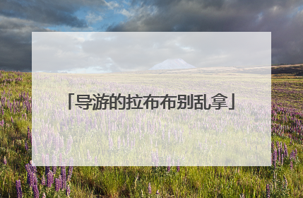 导游的拉布布别乱拿