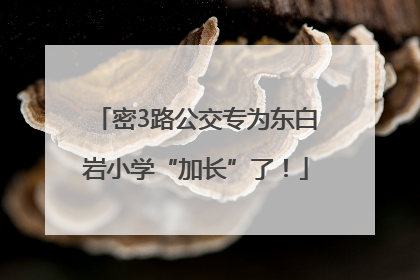 密3路公交专为东白岩小学“加长”了！