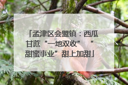 孟津区会盟镇：西瓜甘蔗“一地双收” “甜蜜事业”甜上加甜