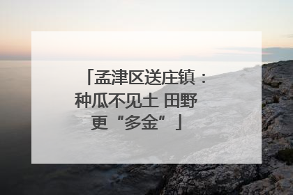 孟津区送庄镇：种瓜不见土 田野更“多金”