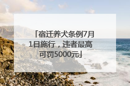 宿迁养犬条例7月1日施行，违者最高可罚5000元