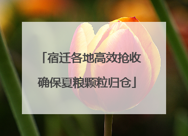 宿迁各地高效抢收 确保夏粮颗粒归仓