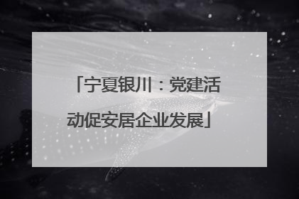 宁夏银川：党建活动促安居企业发展
