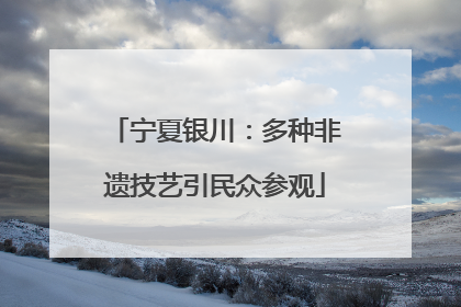 宁夏银川：多种非遗技艺引民众参观
