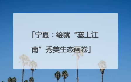 宁夏：绘就“塞上江南”秀美生态画卷