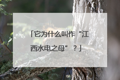 它为什么叫作“江西水电之母”？