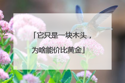 它只是一块木头，为啥能价比黄金