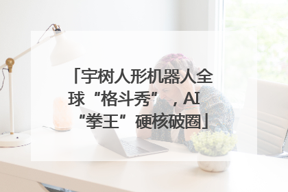 宇树人形机器人全球“格斗秀”，AI“拳王”硬核破圈