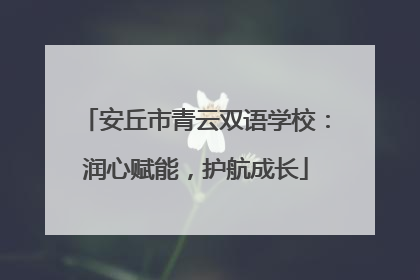 安丘市青云双语学校：润心赋能，护航成长