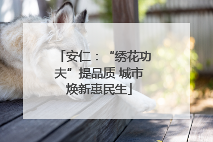 安仁：“绣花功夫”提品质 城市焕新惠民生