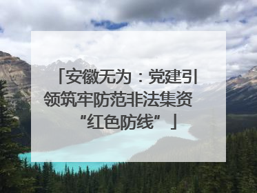 安徽无为：党建引领筑牢防范非法集资“红色防线”