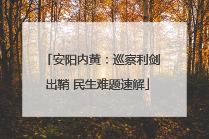 安阳内黄：巡察利剑出鞘 民生难题速解