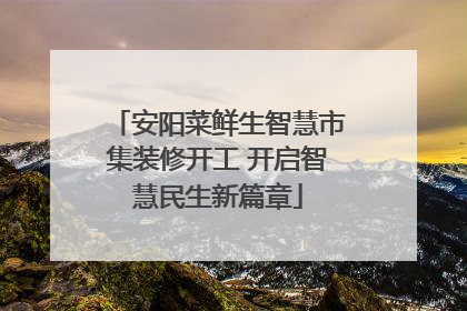 安阳菜鲜生智慧市集装修开工 开启智慧民生新篇章