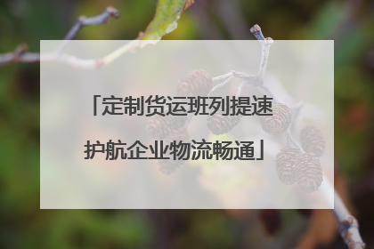 定制货运班列提速 护航企业物流畅通