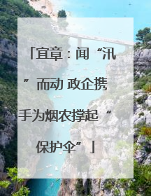 宜章：闻“汛”而动 政企携手为烟农撑起“保护伞”