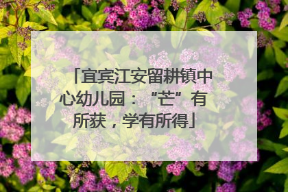 宜宾江安留耕镇中心幼儿园：“芒”有所获，学有所得
