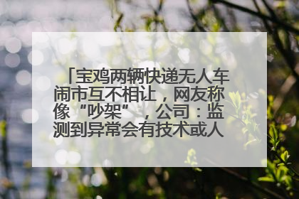 宝鸡两辆快递无人车闹市互不相让，网友称像“吵架”，公司：监测到异常会有技术或人为干预处置