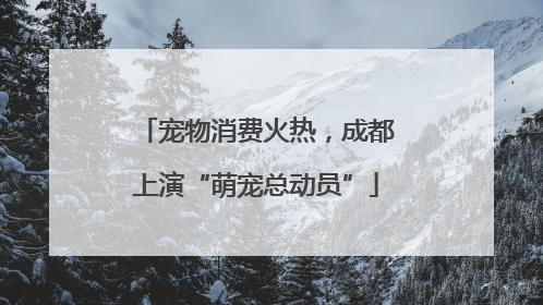 宠物消费火热，成都上演“萌宠总动员”