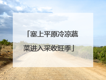 塞上平原冷凉蔬菜进入采收旺季