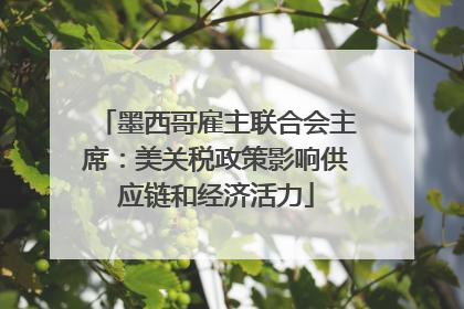 墨西哥雇主联合会主席：美关税政策影响供应链和经济活力