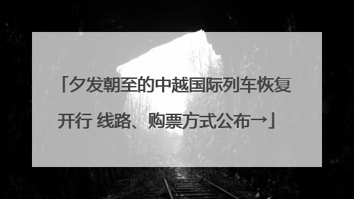 夕发朝至的中越国际列车恢复开行 线路、购票方式公布→