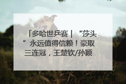 多哈世乒赛｜“莎头”永远值得信赖！豪取三连冠，王楚钦/孙颖莎就是最强混双