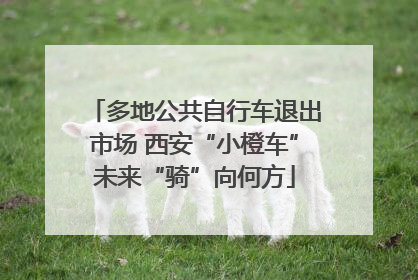 多地公共自行车退出市场 西安“小橙车”未来“骑”向何方