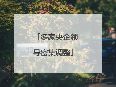 多家央企领导密集调整