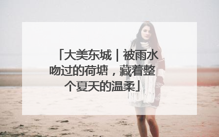大美东城｜被雨水吻过的荷塘，藏着整个夏天的温柔