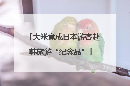 大米竟成日本游客赴韩旅游“纪念品”