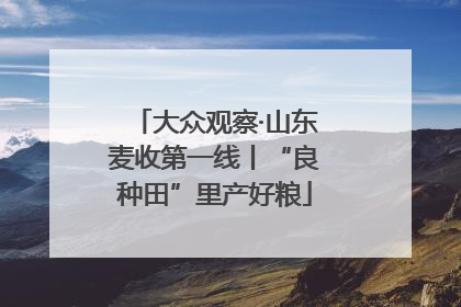 大众观察·山东麦收第一线丨“良种田”里产好粮