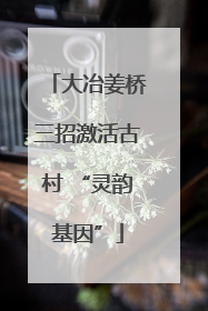 大冶姜桥三招激活古村 “灵韵基因”