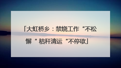 大虹桥乡：禁烧工作“不松懈“ 秸秆清运“不停歇