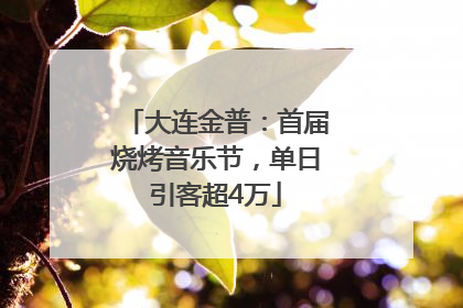 大连金普：首届烧烤音乐节，单日引客超4万