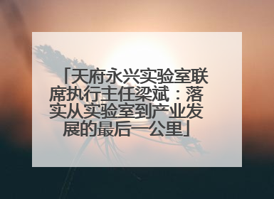 天府永兴实验室联席执行主任梁斌：落实从实验室到产业发展的最后一公里