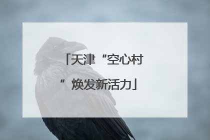 天津“空心村”焕发新活力
