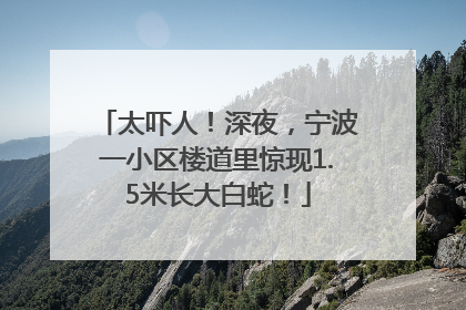 太吓人！深夜，宁波一小区楼道里惊现1.5米长大白蛇！
